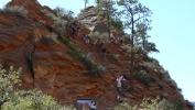 PICTURES/Angels Landing - Zion/t_Scaling AL2.JPG